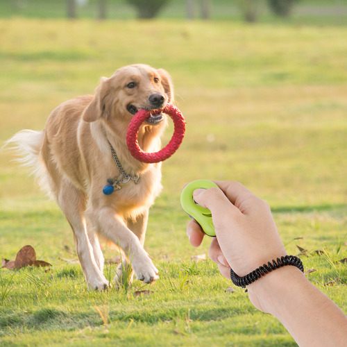 Pet Clicker Para Adiestrar Perros, Gatos, Pájaros Y Caballos