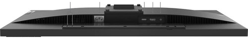 Monitor Lenovo Thinkvision E29w-20 29 Uw-uxga Raven Negro