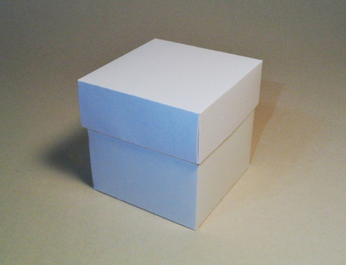 50 Cajas Blancas Con Tapa T1000 (10x10x10)