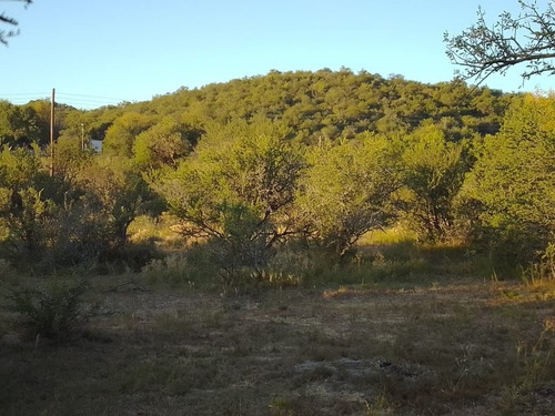 Imagen 1 de 28 de T056pa Amplios Terrenos De 1.350 M2 En Panaholma, A 300 Mts Del Río