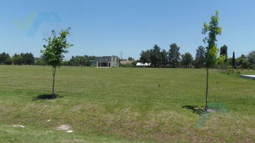 Imagen 2 de 4 de Terreno - Altos De Campo Grande