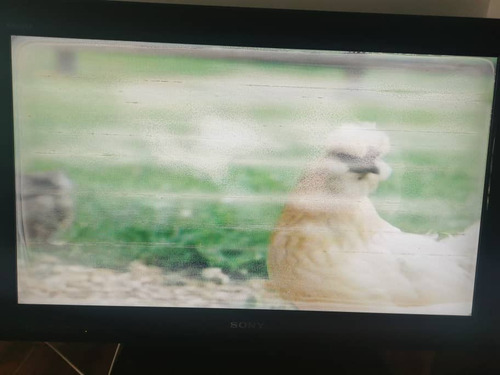Imagen 6 de 9 de Televisor Sony Bravia De 32 Pulgadas Para Reparar O Repuesto