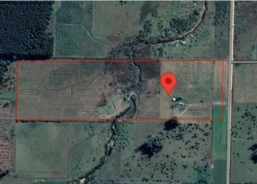Imagen 4 de 14 de Bustamante Prop Campo Venta San Jose Colon Entre Rios