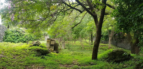 Divino Terreno En Fracc. Limoneros, Cuernavaca