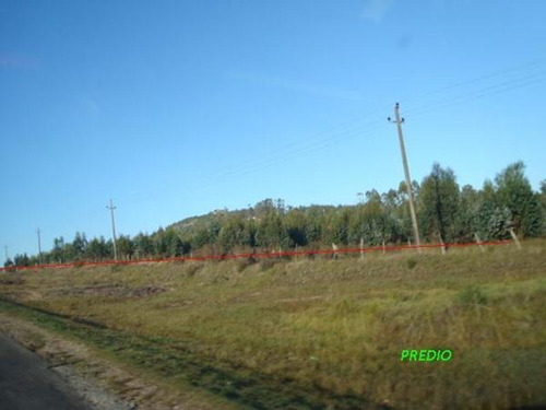 Campo En Venta En Lavalleja, 4 Hectáreas.