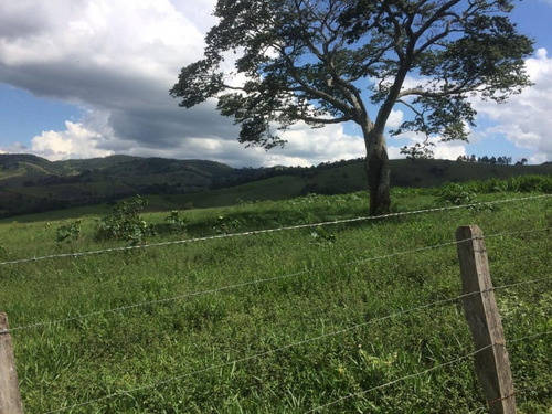 Imagem 7 de 30 de Fazenda - Município Cambuí-mg - Fa0050
