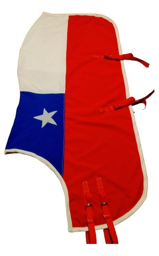 Carpa Caballo Bandera Chile