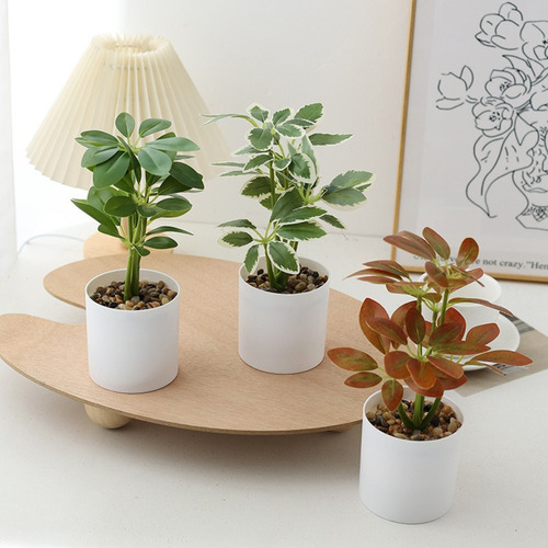 Plantas Artificiales En Maceta Schefflera Octophylla
