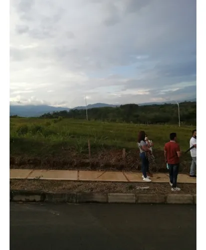 Venta Lote Virginia Y Viterbo, Caldas