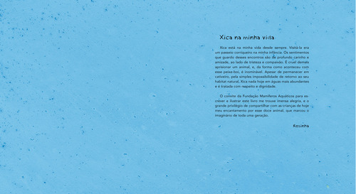 Xica - Nova Edição - Brochura, De Diversos Autores. Editora Peiropolis, Capa Mole Em Português, 2021