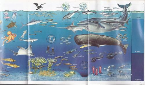 Álbum Surpresa Viagem Ao Fundo Do Mar Bom Estado (Usado)