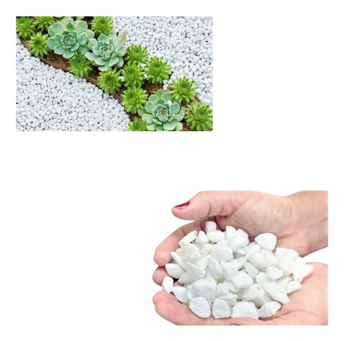 Pedrinha Branca Dolomita Ovo N 1 Vaso Jardim Aquário 1kg Cor Branco Granulometria mínima 2 cm