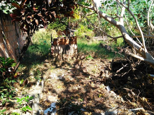 Imagem 7 de 15 de Terreno Para Venda Em Rio De Janeiro, Campo Grande - 216_2-785864