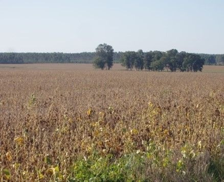 Imagen 12 de 15 de Terreno Campo En Venta Ubicado En Aguada, Montevideo