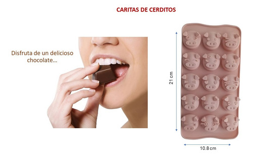 Moldes Silicona Chocolates Repostería Fondant Gelatina 