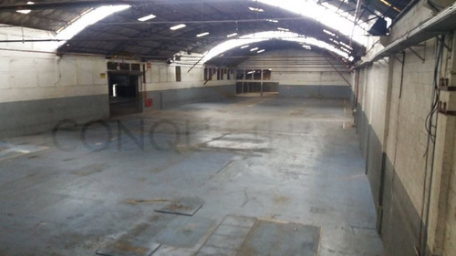 Imagem 1 de 7 de Galpao Industrial - Serraria - Ref: 1784 - V-3965
