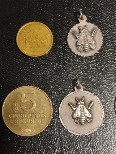 Medalla Plata 925 Abeja Maestra 20 Mm Redonda Y Cadena 40 Cm