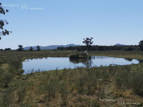 Imagen 5 de 30 de Oportunidad Chacra Con Campo En Venta Alquiler Anual - Cerros Azules