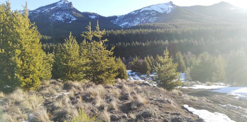 Doble Terreno Apto Emprendimiento Turistico A Metros Del Río Meliquina