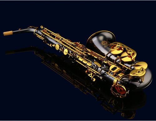 Saxo Alto Kuno Kas-901b Negro Con Llaves Doradas Profesional