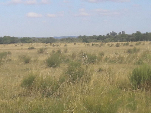 Imagen 6 de 19 de 1086- Venta Campo 136 Hectareas En Estacion Solis Minas Lavalleja