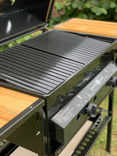 Parrilla Gas Grande Horno Pizzero Piedra Isi Dual G. Oficial