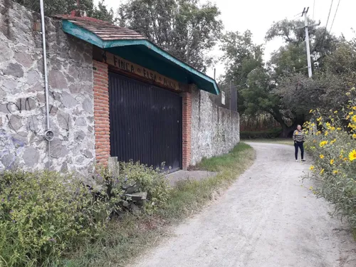 Finca Elsa Alicia (precio A Tratar)
