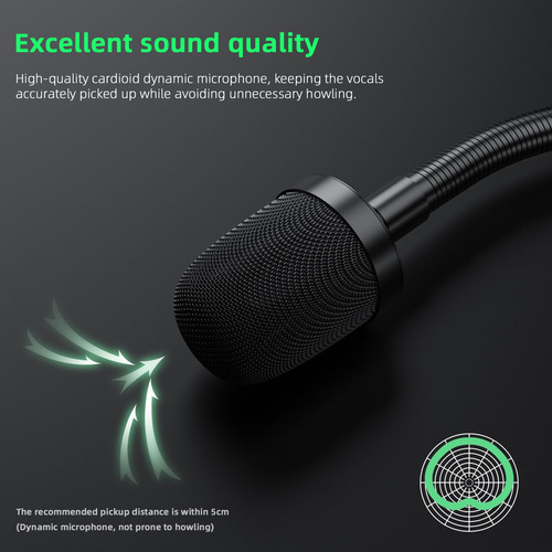 Micrófono De Cuello De Cisne Profesional Dinámico Xlr Negro Negro