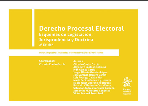 Libro Derecho Procesal Electoral: Esquemas De Legislación, J