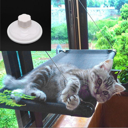 Mascota Gato Ventana Percha Ventosa Tomando El Sol 48cmx38cm