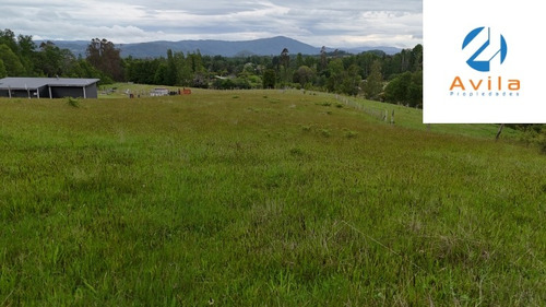 Villarrica Calfutue Camino A Lican Ray 5.500m2 Cod.vtap210