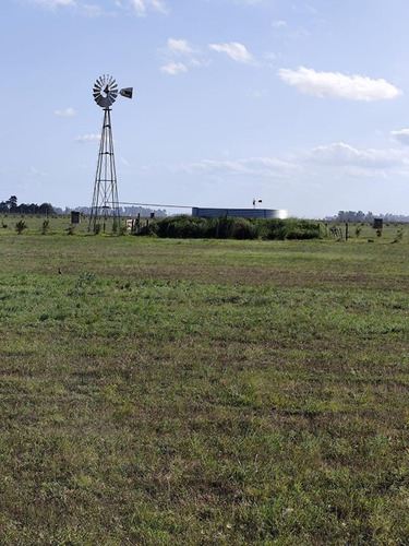 Terreno En Venta Pampa Barrio De Chacras  San Vicente- Lote 5.000m2