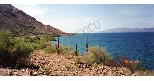 Terreno En Venta, Baja California Sur, Mulege Frente Al Mar