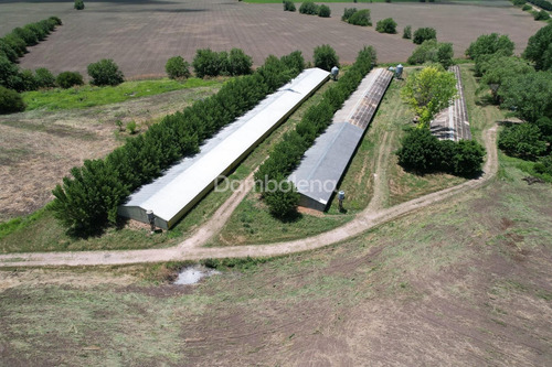 Imagen 8 de 15 de Terreno Campo En Venta - General Rodriguez - G.b.a. Zona Oeste