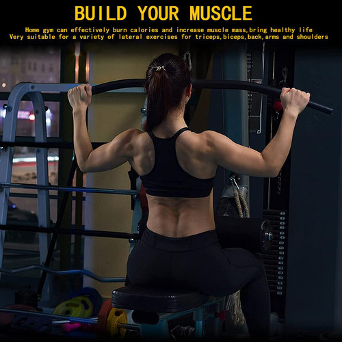 Dispositivos De Entrenamiento Para La Espalda, Barra De Flex