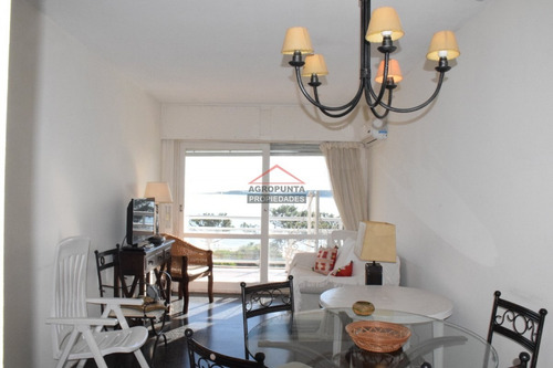 Apartamento En Mansa, 1 Dormitorios *- Ref: 4771