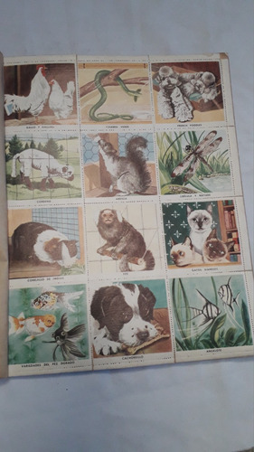 Album Figurita * Libro Oro Estampas : Animales Fav * Novaro (Usado)