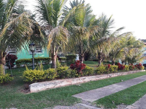Chácara Com 4 Dormitórios À Venda, 3000 M² - Cafezal Ii - Itupeva/sp - Ch0124