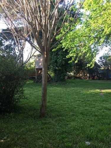 Imagen 6 de 7 de Lote Antesquina En Venta En Moreno Sur - 260m2. ¡oportunidad!