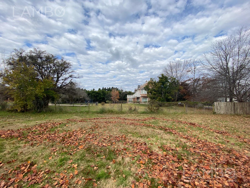 Venta Lote Terreno Pilar Los Alcanfores