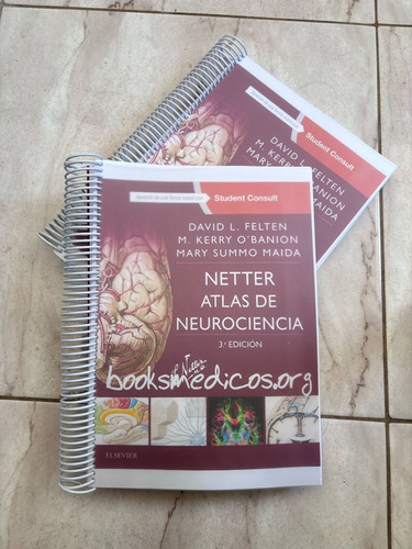 Libro Netter Atlas De Neurociencias 