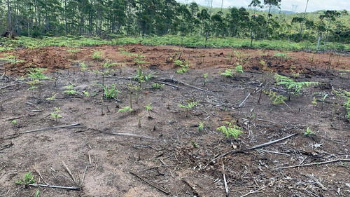 Imagem 8 de 12 de 06-lotes Para Chacara Na Região De Mogi Das Cruzes