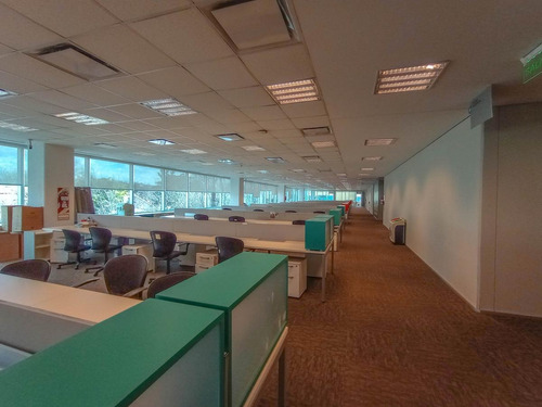 Imagen 8 de 30 de Oficinas En Alquiler 2120 M2 En Edificio Lumina Thames San Isidro, Certificacion Leed Green Buiding