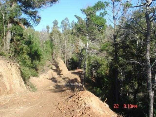 Imagen 4 de 21 de Camino Nonguen S / N , Sector Reserva De Nonguen Concepc...
