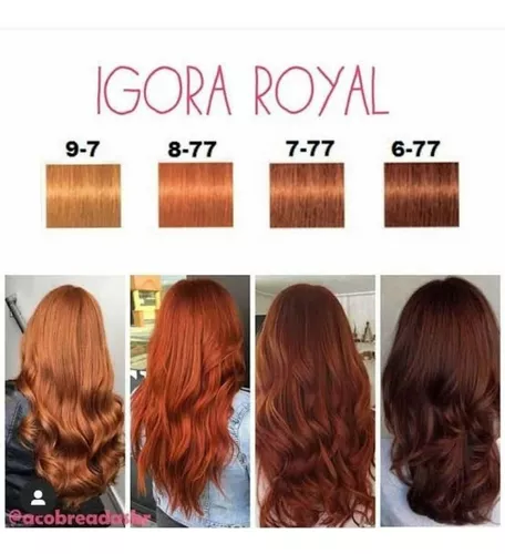 Igora 6.77 + ox louro escuro cobre extra