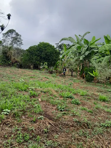 Vendo Lote En Viota Cundinamarca