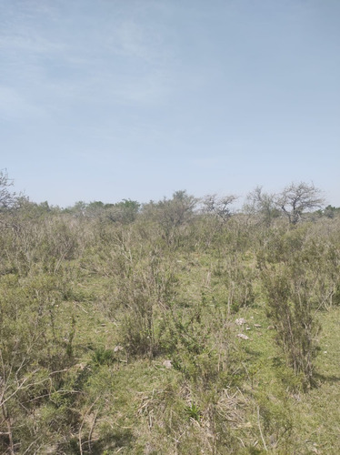 Imagen 4 de 15 de En Venta Chacra Mojones Norte 10.5 Ha