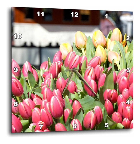 3drose Dpp__3 Países Bajos, Ámsterdam, Mercado Tulip Flowers