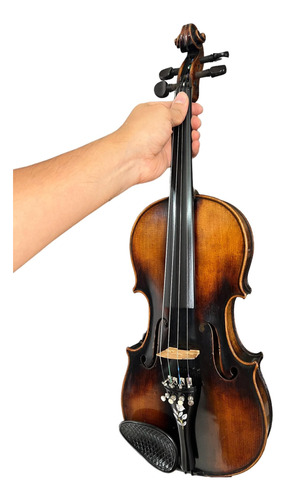 Violin 4/4 Profesional Luthier Hecho A Mano Republica Checa