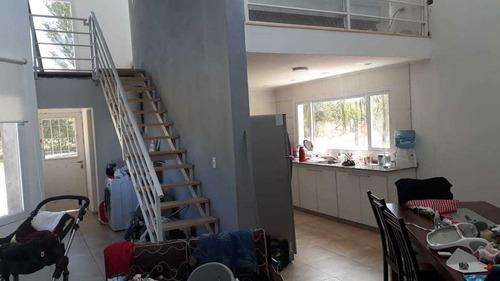 Imagen 13 de 17 de Venta | Quinta - Campo - Finca 12.5 Ha - San Rafael - Mendoza | 2 Casas